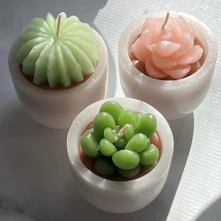 Iconic Vance Kitira Succulent Votive Candle Set